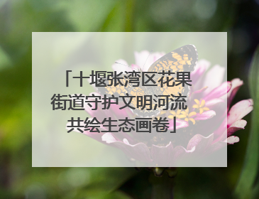 十堰张湾区花果街道守护文明河流 共绘生态画卷