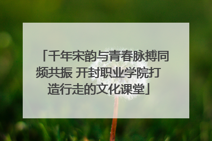 千年宋韵与青春脉搏同频共振 开封职业学院打造行走的文化课堂