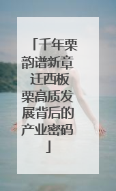 千年栗韵谱新章 迁西板栗高质发展背后的产业密码