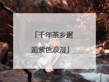 千年茶乡邂逅紫色浪漫