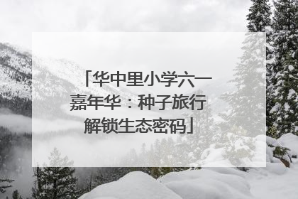 华中里小学六一嘉年华：种子旅行解锁生态密码