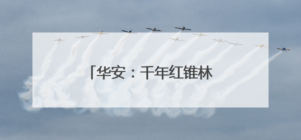 华安：千年红锥林守护乡村振兴路