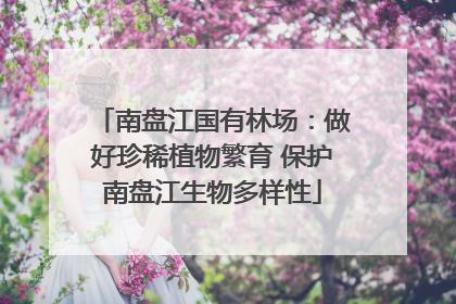 南盘江国有林场：做好珍稀植物繁育 保护南盘江生物多样性