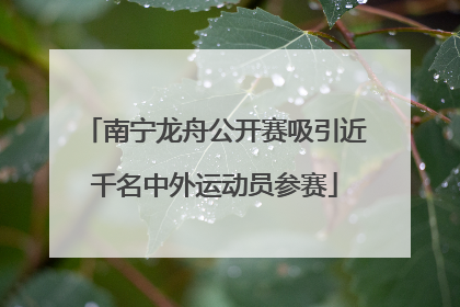 南宁龙舟公开赛吸引近千名中外运动员参赛