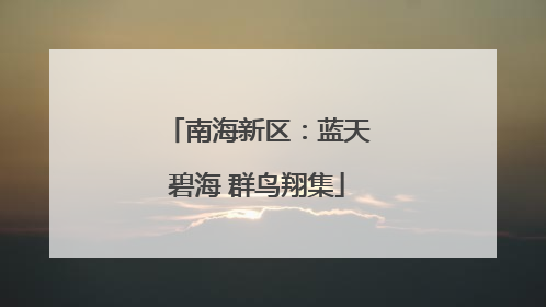 南海新区：蓝天碧海 群鸟翔集