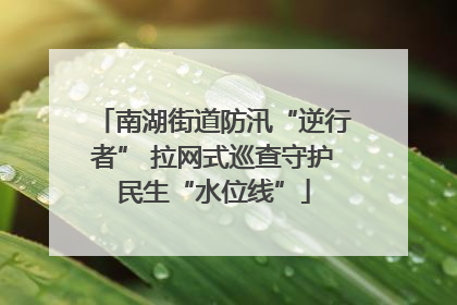 南湖街道防汛“逆行者” 拉网式巡查守护民生“水位线”