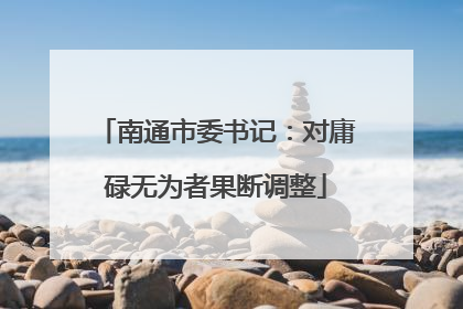 南通市委书记：对庸碌无为者果断调整
