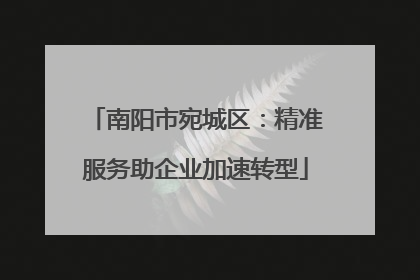 南阳市宛城区：精准服务助企业加速转型