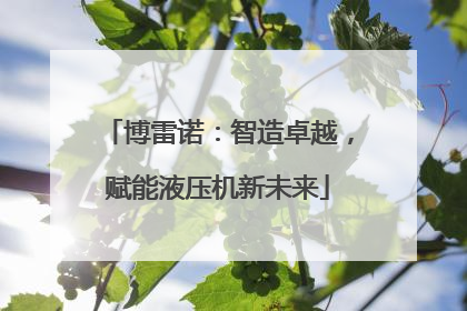 博雷诺：智造卓越，赋能液压机新未来