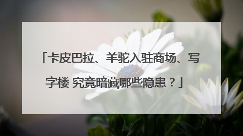 卡皮巴拉、羊驼入驻商场、写字楼 究竟暗藏哪些隐患？