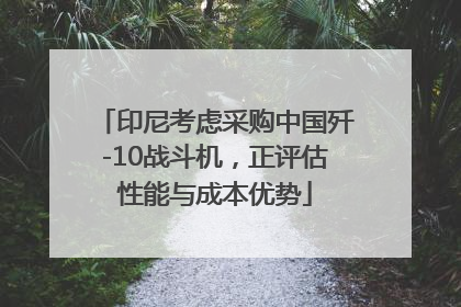 印尼考虑采购中国歼-10战斗机，正评估性能与成本优势