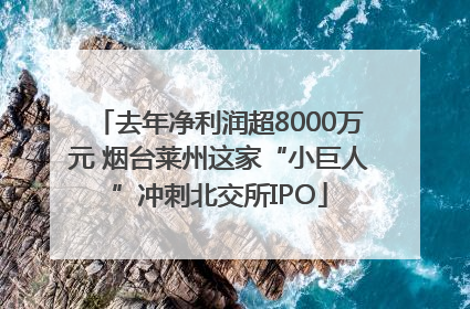 去年净利润超8000万元 烟台莱州这家“小巨人”冲刺北交所IPO