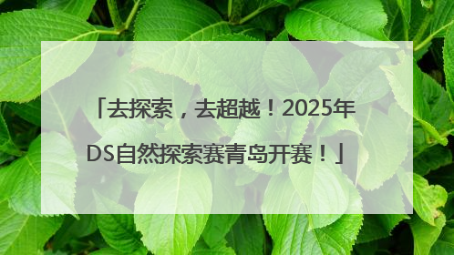 去探索，去超越！2025年DS自然探索赛青岛开赛！