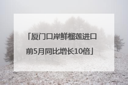 厦门口岸鲜榴莲进口 前5月同比增长10倍