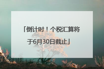 倒计时！个税汇算将于6月30日截止