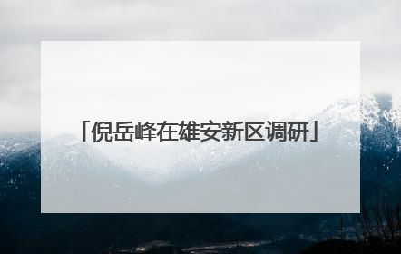 倪岳峰在雄安新区调研