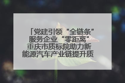 党建引领“全链条” 服务企业“零距离” 重庆市质标院助力新能源汽车产业链提升质量管理水平