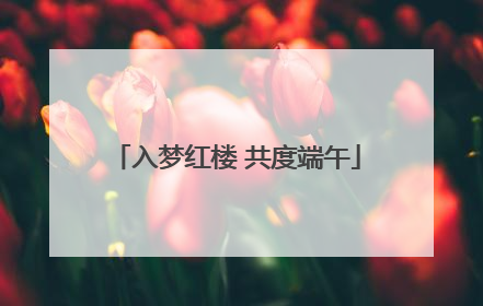 入梦红楼 共度端午