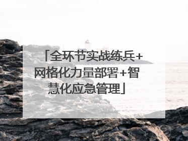 全环节实战练兵+网格化力量部署+智慧化应急管理