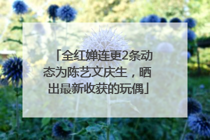 全红婵连更2条动态为陈艺文庆生，晒出最新收获的玩偶