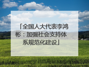 全国人大代表李鸿彬：加强社会支持体系规范化建设