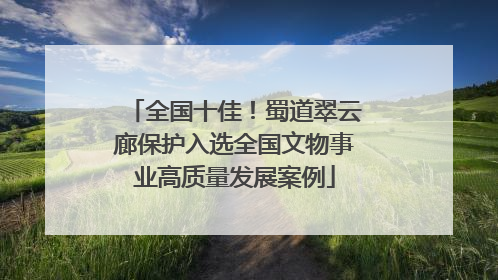 全国十佳！蜀道翠云廊保护入选全国文物事业高质量发展案例