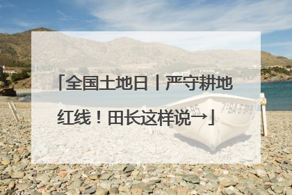 全国土地日丨严守耕地红线！田长这样说→