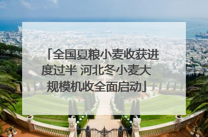 全国夏粮小麦收获进度过半 河北冬小麦大规模机收全面启动