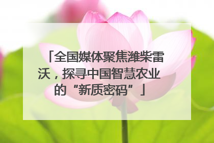 全国媒体聚焦潍柴雷沃，探寻中国智慧农业的“新质密码”