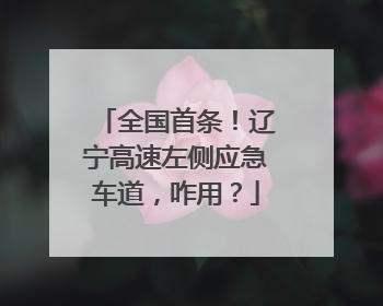 全国首条！辽宁高速左侧应急车道，咋用？