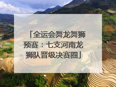 全运会舞龙舞狮预赛：七支河南龙狮队晋级决赛圈