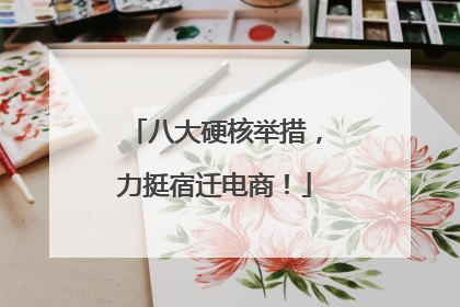 八大硬核举措，力挺宿迁电商！