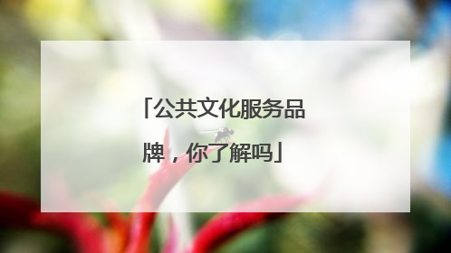公共文化服务品牌，你了解吗