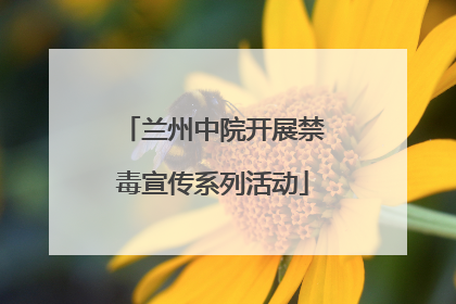 兰州中院开展禁毒宣传系列活动
