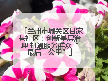 兰州市城关区甘家巷社区：创新基层治理 打通服务群众“最后一公里”