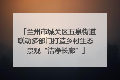 兰州市城关区五泉街道联动多部门打造乡村生态景观“洁净长廊”