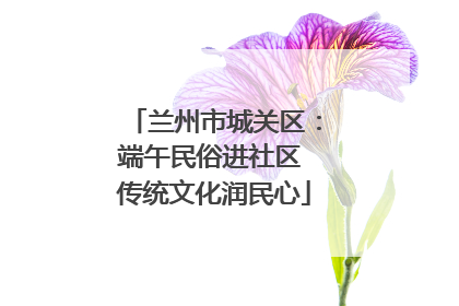 兰州市城关区：端午民俗进社区 传统文化润民心