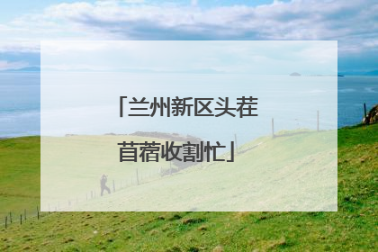 兰州新区头茬苜蓿收割忙