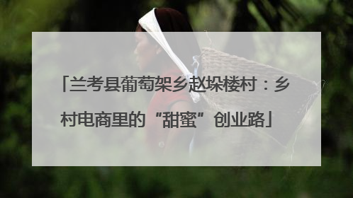兰考县葡萄架乡赵垛楼村：乡村电商里的“甜蜜”创业路