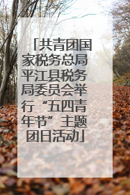 共青团国家税务总局平江县税务局委员会举行“五四青年节”主题团日活动