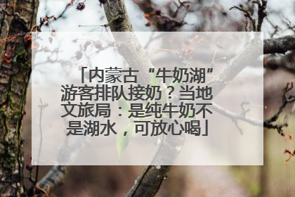 内蒙古“牛奶湖”游客排队接奶？当地文旅局：是纯牛奶不是湖水，可放心喝