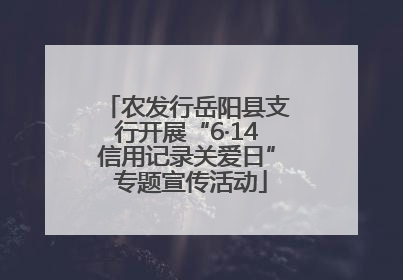 农发行岳阳县支行开展“6·14信用记录关爱日” 专题宣传活动