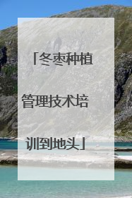 冬枣种植管理技术培训到地头