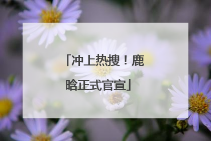 冲上热搜！鹿晗正式官宣