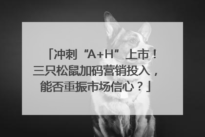 冲刺“A+H”上市！三只松鼠加码营销投入，能否重振市场信心？