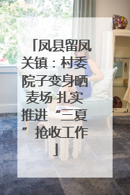 凤县留凤关镇：村委院子变身晒麦场 扎实推进“三夏”抢收工作