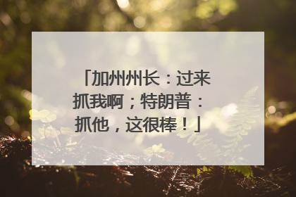 加州州长：过来抓我啊；特朗普：抓他，这很棒！