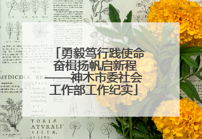 勇毅笃行践使命 奋楫扬帆启新程——神木市委社会工作部工作纪实
