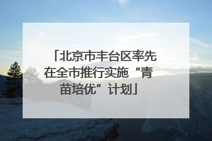北京市丰台区率先在全市推行实施“青苗培优”计划