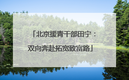 北京援青干部田宁：双向奔赴拓宽致富路